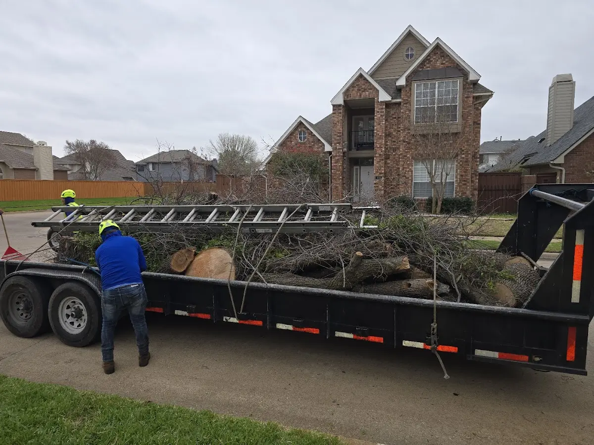 Expert Lot Clearing with proper safety equipment in Shafer